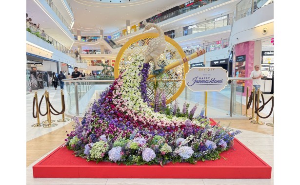 Janmashtami at Sky City Mall