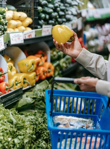 Food & Groceries